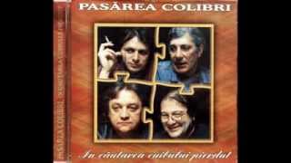 Pasarea Colibri -  In cautarea cuibului pierdut (1995) (full album)