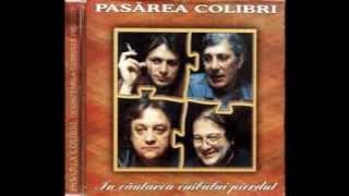 Pasarea Colibri -  In cautarea cuibului pierdut (1995) (full album)