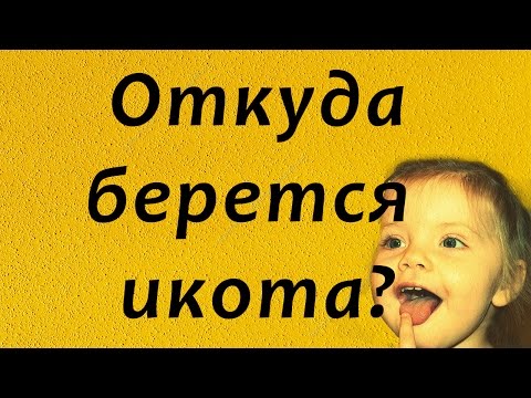 ОТКУДА БЕРЕТСЯ ИКОТА? Как перестать икать?