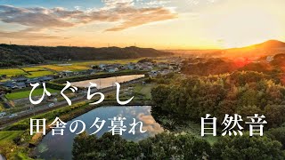 【睡眠用BGM／自然音】たいへんな一日を過ごしたあなたへ／ひぐらし　田舎の夕暮れ