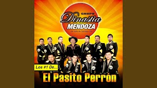 Video thumbnail of "Grupo Dinastia Mendoza - El Pasito Perrón"