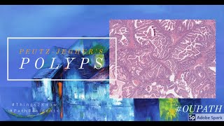 Peutz Jeghers polyps GI Tract
