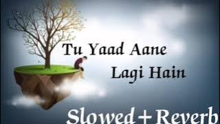 Tirchi Topi Wale || Sad Version || (Slowed Reverb) Old Song ||  Amit Kumar & Sapna  Mukharji ||