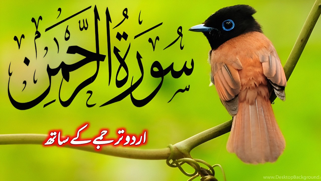 Surah Rahman Full Urdu Tarjuma Ke Sath By Qari Abdul Basit | QURAN