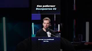 Как работает восприятие -  мерцание  #психолог #восприятие