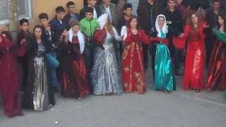 Şenoba Düğün Süper