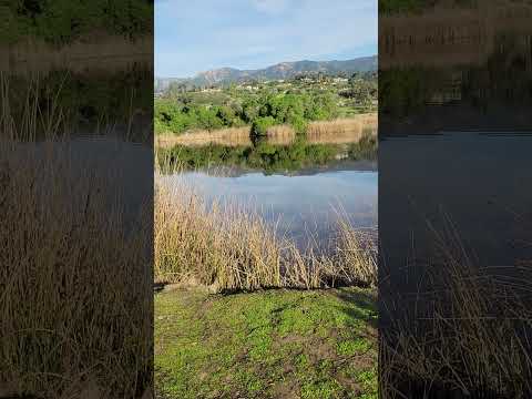 دمن از هجوم حقیقت به خاک افتادم و بار دگر در زیر آسمان مزامیر در آن سفر که لب رودخانه ی ب