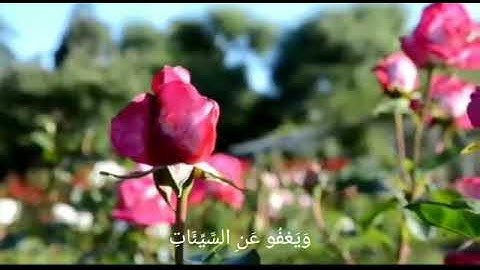 (القارئ صهيب ذيب) بصوت جميل