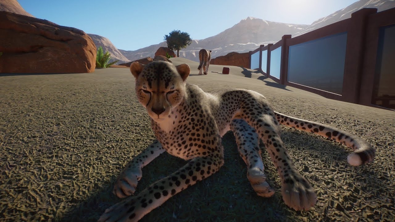 Planet Zoo (PC)(English) #63 6 Minutes of Cheetah - YouTube