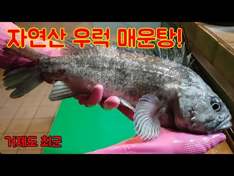 자연산 우럭 매운탕!! 말이 필요없는 맛!!