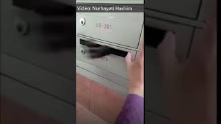 Cat Gets STUCK In letterbox but Postman SAVES It