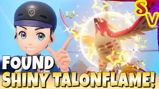 SHINY TALONFLAME & SHINY MAGMAR! Indigo Disk DLC Gameplay in Pokemon Violet