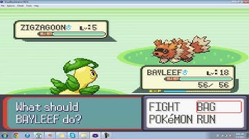 Random Shiny Zigzagoon! happy Cinco De Mayo