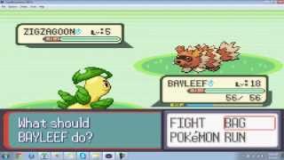 Random Shiny Zigzagoon! happy Cinco De Mayo