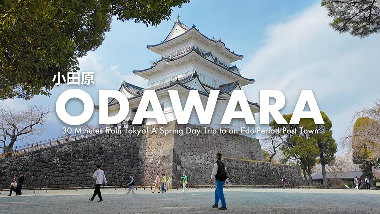 Замок Одавара и Лучшая Местная Еда | Однодневная Поездка из Токио | Влог о Путешествии по Японии