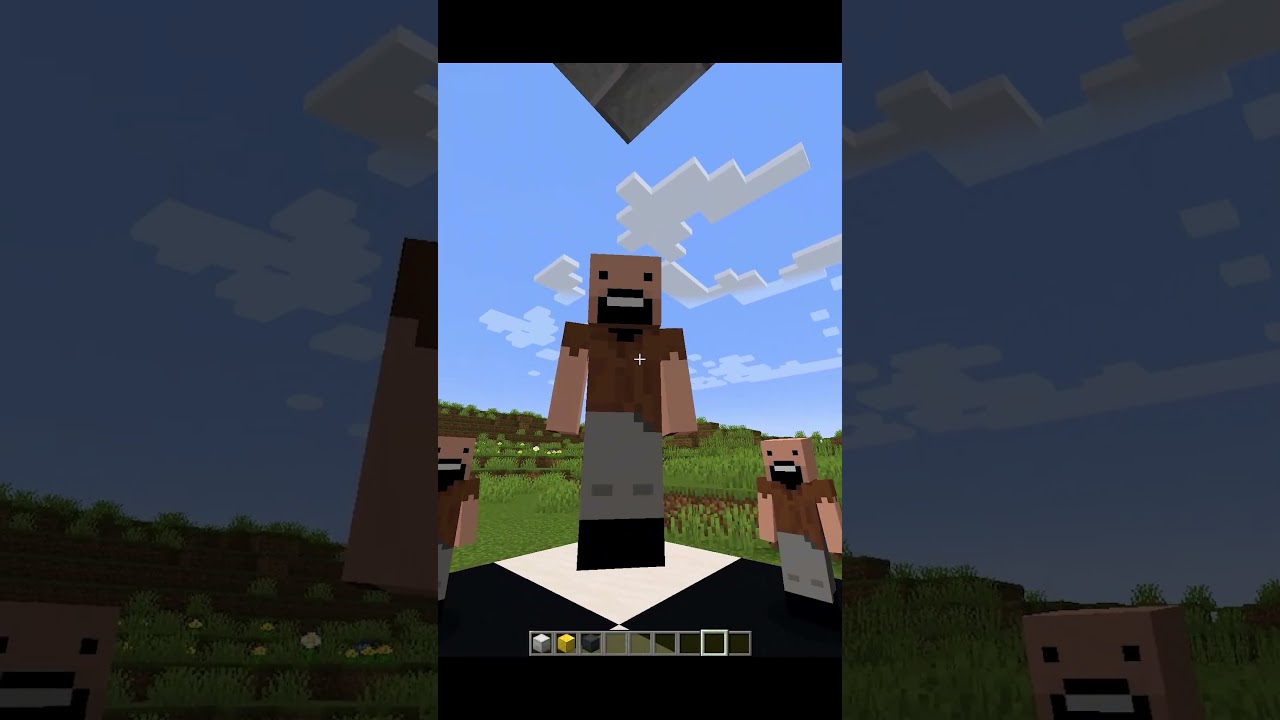 Minecraft Crazy Illusion Tutorial (Which One Is Bigger?) 