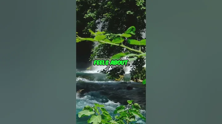 Unity in Consciousness  Embracing Our Collective Lov