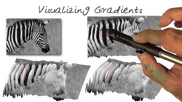 Visualizing Gradients