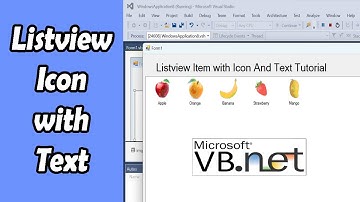 Customize Listview Items with Icon and Text In VB.Net