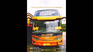 Story Whatsapp Stj Morgul