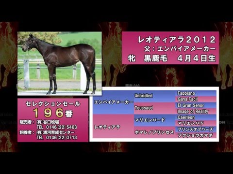 Japanese Select Sale Videos 2012 - YouTube