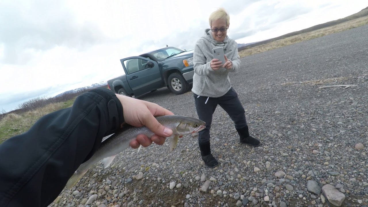 Fishing with Aaron at Russell Creek in Cold Bay, Alaska YouTube