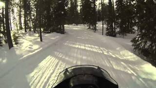 Arctic cat panter 550 Funäsdalsfjällen