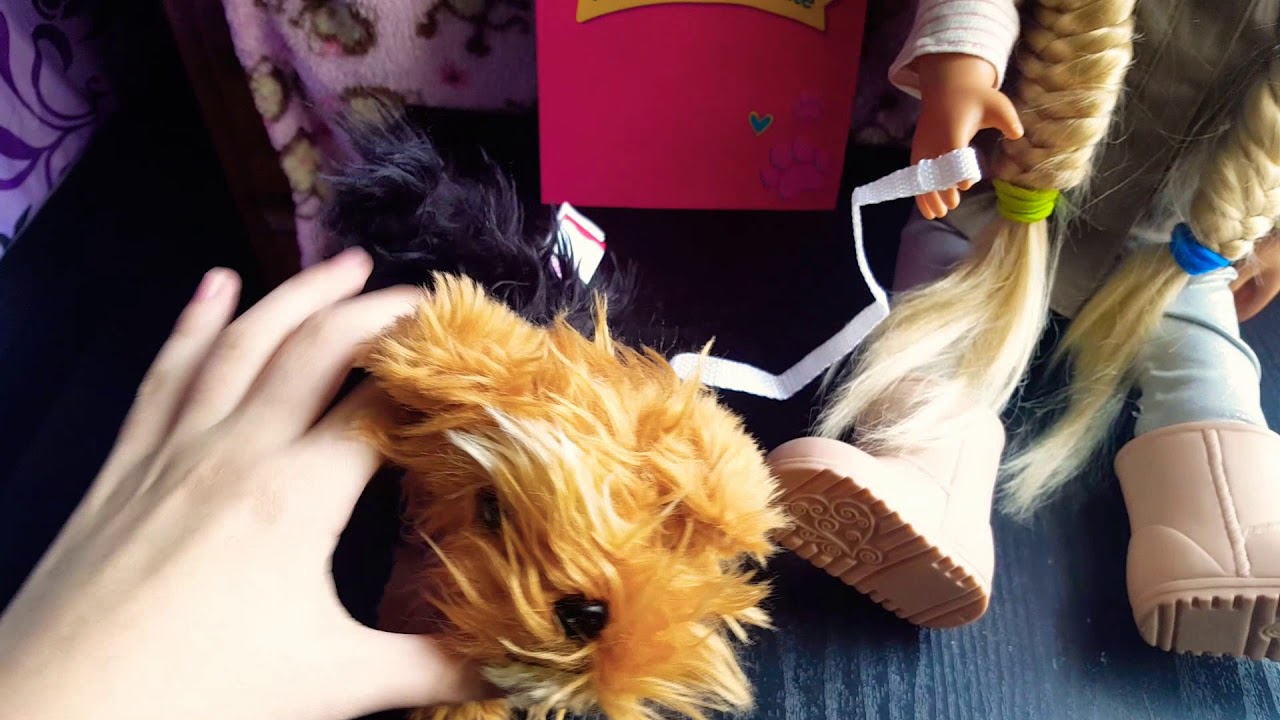 New Our Generation dog for my doll/Event at Target YouTube