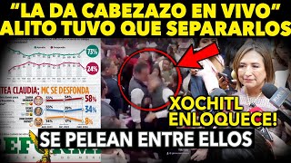 AGARRAN PLEITO! PRIISTA LE DA CABEZAZO A PANISTA ¡ENLOQUECEN CON ENCUESTA! REFORMA EMPINA A XOCHITL