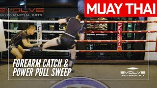 Muay Thai Training Series: Sweeps and Trips | Forearm Catch & Power Pull Sweep