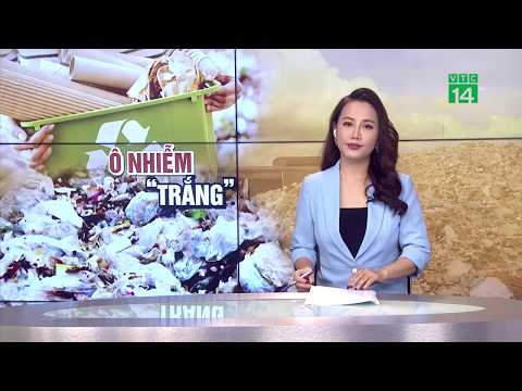 Video Rác thải 