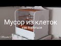 Как бороться с мусором из клеток