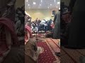 حبشي فرقة عيال الثقافه 