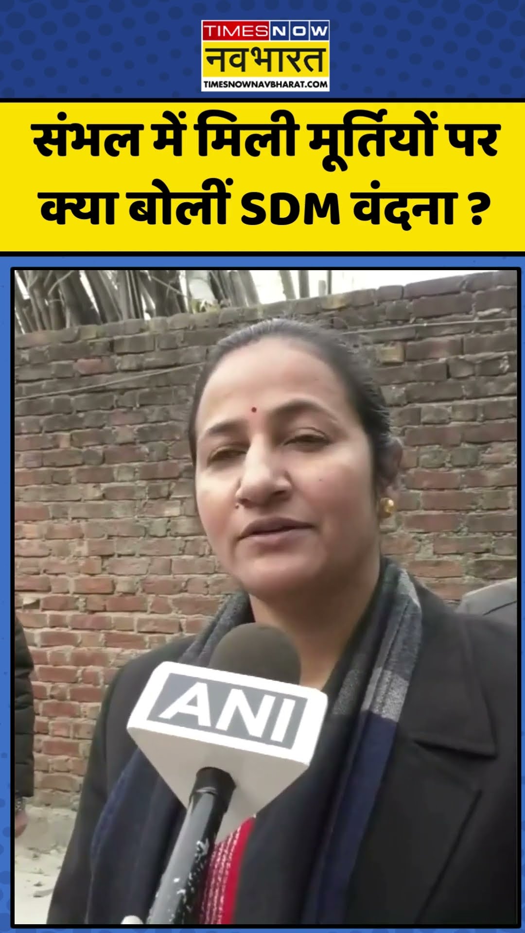 Sambhal में मिली मूर्तियों पर क्या बोलीं SDM वंदना ? | #shorts