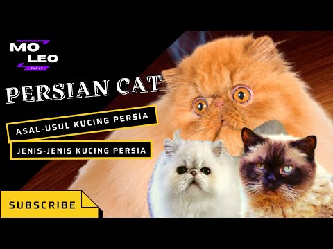 Video: Apakah singkatan Persia?