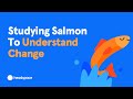 Salmon Life Cycle Quiz