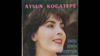 Aysun Kocatepe - Bir Naz Bir Naz Olmaz Ki (1992) Resimi