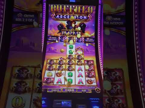 Casino Jack Clip - Tom Confronts Jack