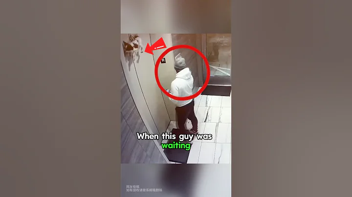 This heroic man saves a dog that stuck in elevator #dogs #shorts #rescue