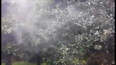 Aerospace Fluid Mechanics Lab 1-Flow Viz Video