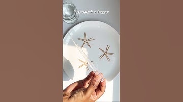 Toothpick Star Experiment For Kids ⭐️