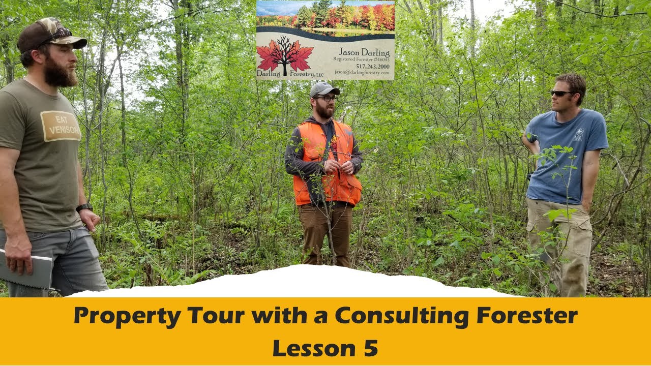 Property Tour with a Consulting Forester Lesson 5