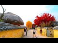 Korea   walking in andong hahoe folk village in the fall  4k