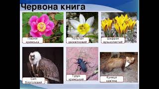 Урок з Природознавства 4 клас. Кримські гори.