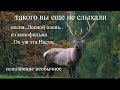 песня лесной олень из кинофильма ох уж эта Настя #исполнение необычное#nice song#шансон