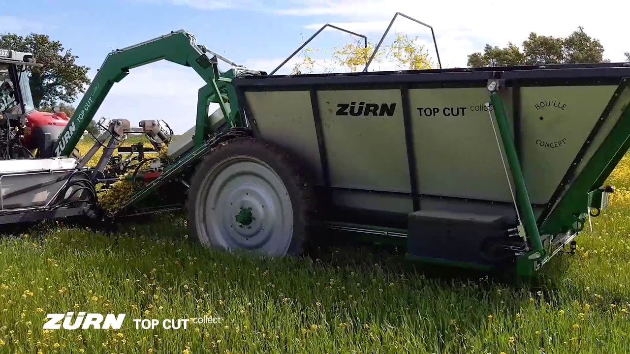 TOP CUT collect | Hederich in Sommer-Weizen | Demo-Tour 2020