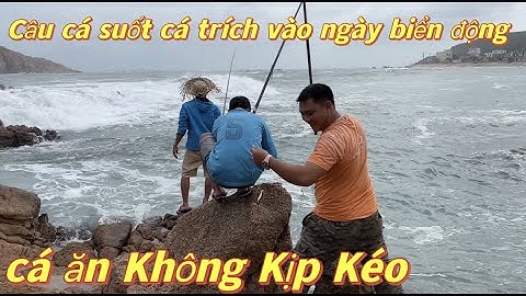 câu cá suốt cá trích vào ngày biển động - cá ăn không kịp kéo @ngudanlangbienvlog