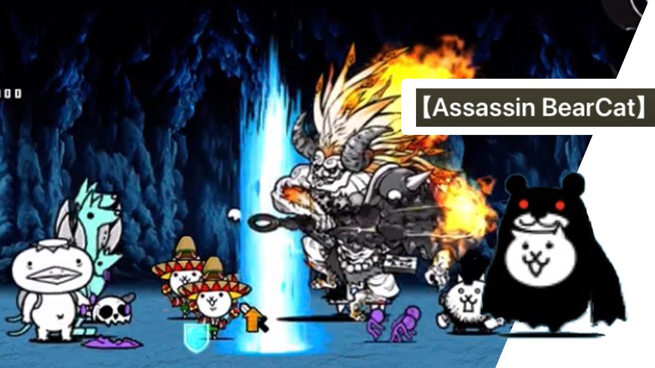 battle cat หาเเมว : assassin bear cat (แอสซาซินเเบร์เเคท) - YouTube