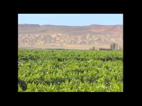 Deserto del Taklamakan e Oasi di Turpan