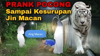 Prank pocong paling menakutkan kesurupan siluman macan ‼ kampung hantu